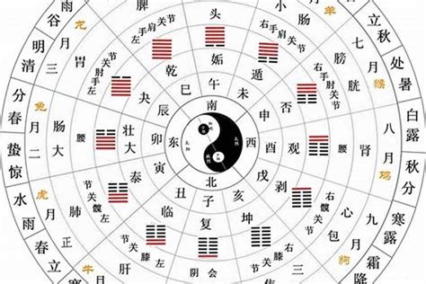 丙 五行|天干地支五行对照表